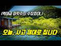 이 수상좌대 진짜 미쳤습니다 ᄃᄃ 넣기 무섭게 쏟아지는 역대급 마릿수 타작의 서막
