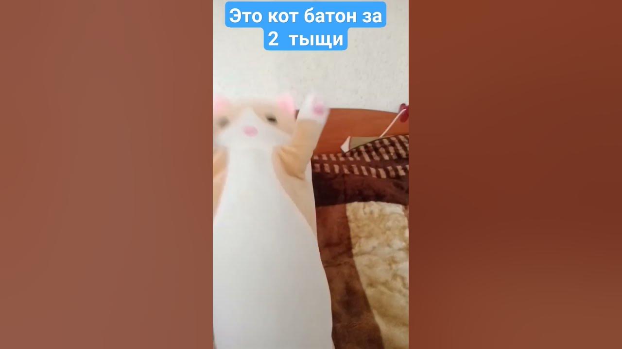 кот батон подпишись за кота - YouTube