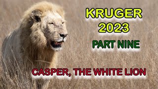 Kruger 2023 Part 9 - Satara -4 hours for Casper to show and when he does, he does so in style