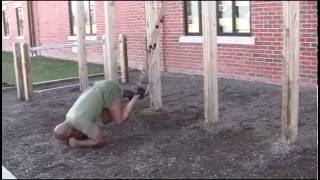 TRX Crunch (Elbows)