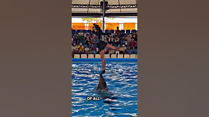 they thought she failed but the dolphin was smart 😮 @umer2m