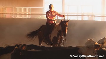 BWR Smart Lil Dottie - working cows! - ValleyViewRanch.net