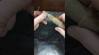 как сделать серьги-кольца(Конго) #gold #matsonjewellery #shorts #silver #handmade