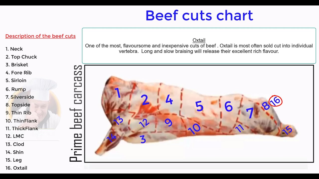 The different cuts of beef and veal - YouTube