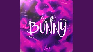 Video thumbnail of "VMZ - Bunny"