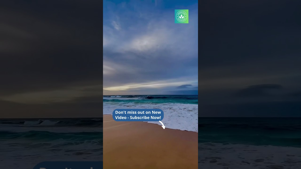 Watch Coastal Melodies: Relaxing Music at the Beach 🌊 on YouTube Watch Coastal Melodies: Relaxing Music at the Beach 🌊 on YouTube
