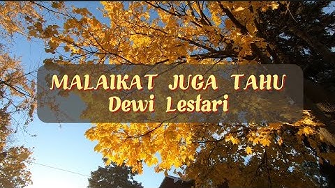 MALAIKAT JUGA TAHU - Dewi Lestari ( Lyrics Music Video)