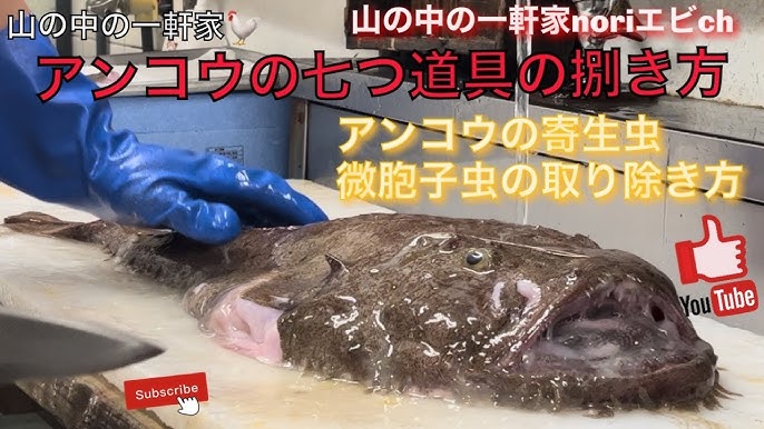 魚屋 山の中の一軒家 アンコウの七つ道具の捌き方 アンコウの寄生虫 微胞子虫の取り除き方 アンコウの神経細胞に寄生する微胞子虫を取り除く 令和4年10月日 木 Youtube