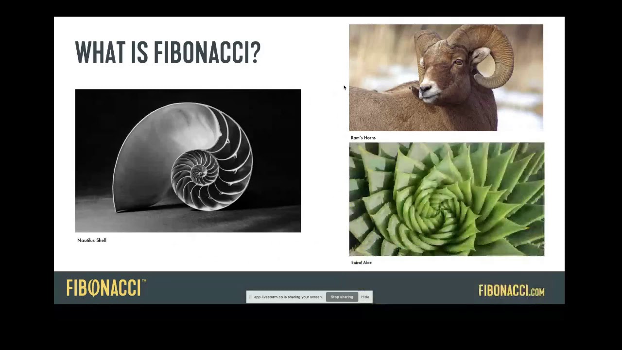 TrendSpider Webinar with Guest Tarek Saab, "What is the Fibonacci Sequence?"