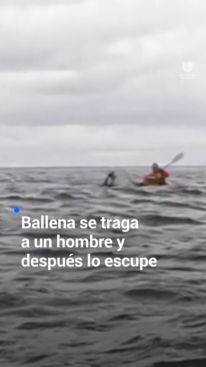 El momento en el que una ballena se traga a un hombre y después lo escupe