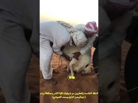 شب النار قديما بدون لا قاز ولا غاز ١ 1
