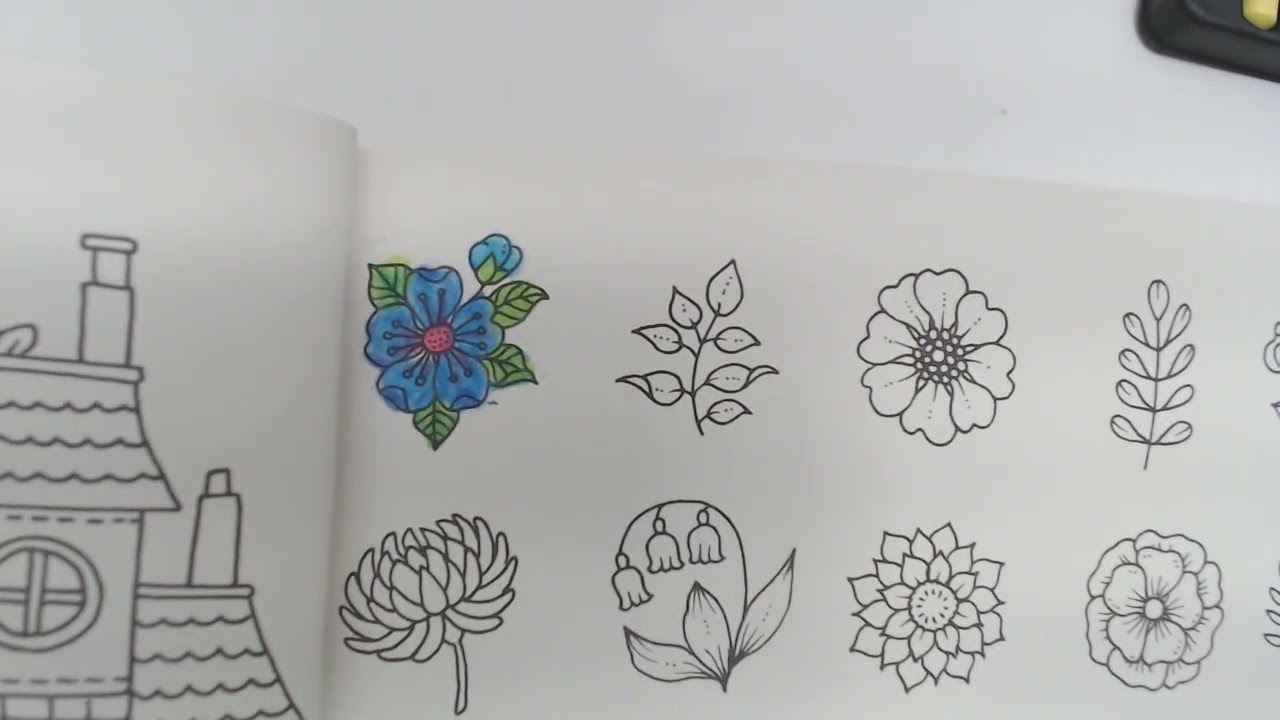 Johanna Basford Small Victories Coloring Book Adult coloring (Part) 1 flowers.
