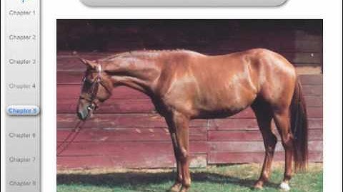 Strategic Management for MBAs Chapter 5 Part 1