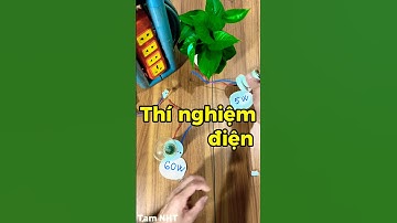 Instructions on how to connect light bulbs in parallel and series #shareexperience #youtubeshoppi...