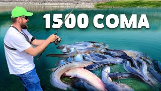 картинка: 5 ТОНА СОМ ИЗБЯГА в ЯЗОВИРА!!! Риболов на сом на спининг с клатушка