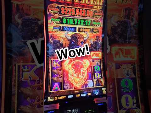 „Naučte se hráть v online kasino s Spinmama – nejlepší způsob, jak si zabavit v České republice!“