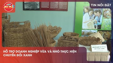 HỖ TRỢ DOANH NGHIỆP VỪA VÀ NHỎ THỰC HIỆN CHUYỂN ĐỔI XANH