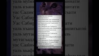 чтец: Мишари ар Рашид  Коран сура 33-я "Ахзаб" аят 35-ый       Амин☺💞