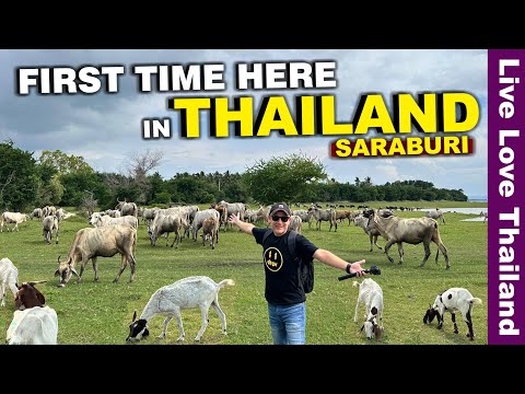 Video: Koha më e mirë për të vizituar Bangkok