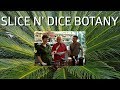 Slice n&#39; Dice Botany!