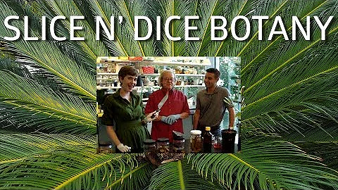 Slice n' Dice Botany!