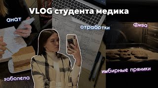 VLOG студента медика| анатомия, физа| имбирные пряники| отработки| дневник студентки| study with me