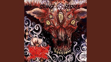 Into The Singularity