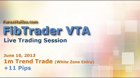 FibTrader (FibMatrix) VTA Forex Day Trading Software - LIVE TRADE!!