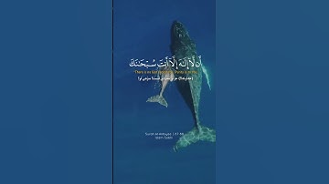 سوره الانبیاء | قاری: اسلام صبحی Syrah Al-Anbiya | Qadri: Islam Sobhi #quran #duet #قرآن #ترند #sabr