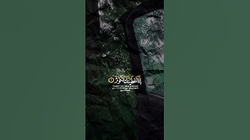 سورة الكوثر ﴿ إِنَّا أَعْطَيْنَاكَ الْكَوْثَرَ﴾[ سورة الكوثر: 1]