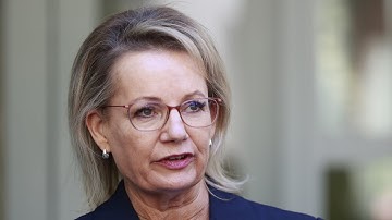Sussan Ley praised for her leadership in ditching net zero