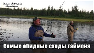 Рыбалка. Самые обидные сходы тайменя попавшие в кадр. Fishing in Siberia