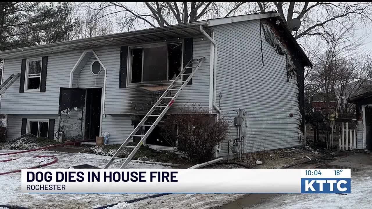 One dog dies in house fire in Rochester Saturday - YouTube