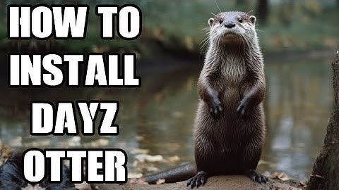 How To Install HunterZ DayZ Otter PC DayZ Mod On Local & Remote Community Server (Nitrado)