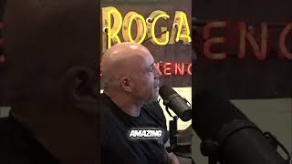 CHARLIE SHEEN: Ricky Nelson's Secret  The Adventures of Ozzie & Harriet