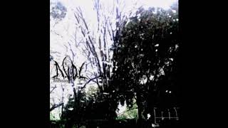 A.V.D.L - Missing