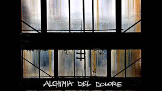 Spleen Flipper - Artigli