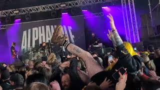 alpha wolf - 60cm of steel (ft holding absence) - download festival 2024