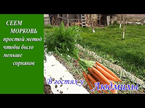 ДЕЛЮСЬ ИНТЕРЕСНЫМ МЕТОДОМ КАК ПОСЕЯТЬ МОРКОВЬ ЧТОБ НЕ БЫЛО ЛИШНИХ СОРНЯКОВ И УДОБНО БЫЛО ПОЛИВАТЬ