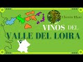 Vinos del VALLE DEL LOIRA 🥂[clima, uvas y regiones]🔹[Francia]