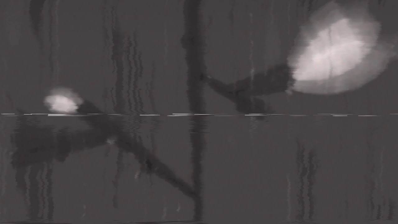 Radiohead - Fake Plastic Trees (slowed + reverb)