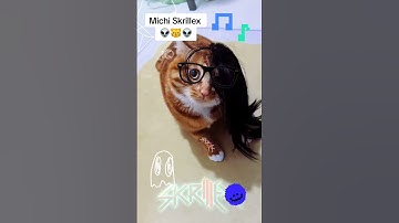 #skrillex #cat #dubstep