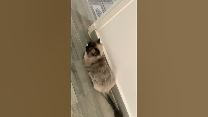 Petite séonse de musique