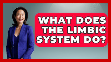 What Does The Limbic System Do? - PTSD Support Channel