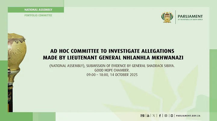 2/2 Ad Hoc Committee Investigate Allegations by General Nhlanhla Mkhwanazi, 14 October 2025