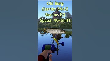 Russian Fishing 4 Old Burg active pike spot Full Video in description