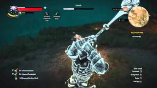 The Witcher 3: Wild Hunt - How to beat Imlerith (Death March)