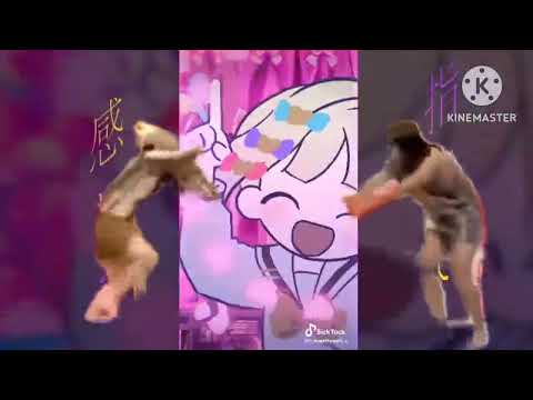 ダンスィングフィッソン族最高！！