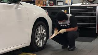 Lexus of Concord Service