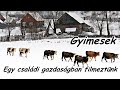 Gyimesek - Látogatás a Gyimesekben egy családi gazdaságban